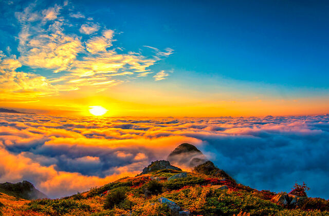 UÇAKLI BATUMLU KARADENİZ TURU